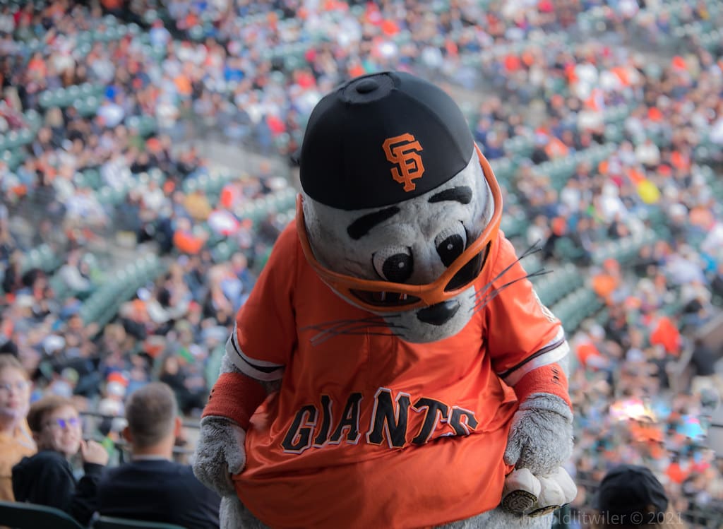 San Francisco Giants