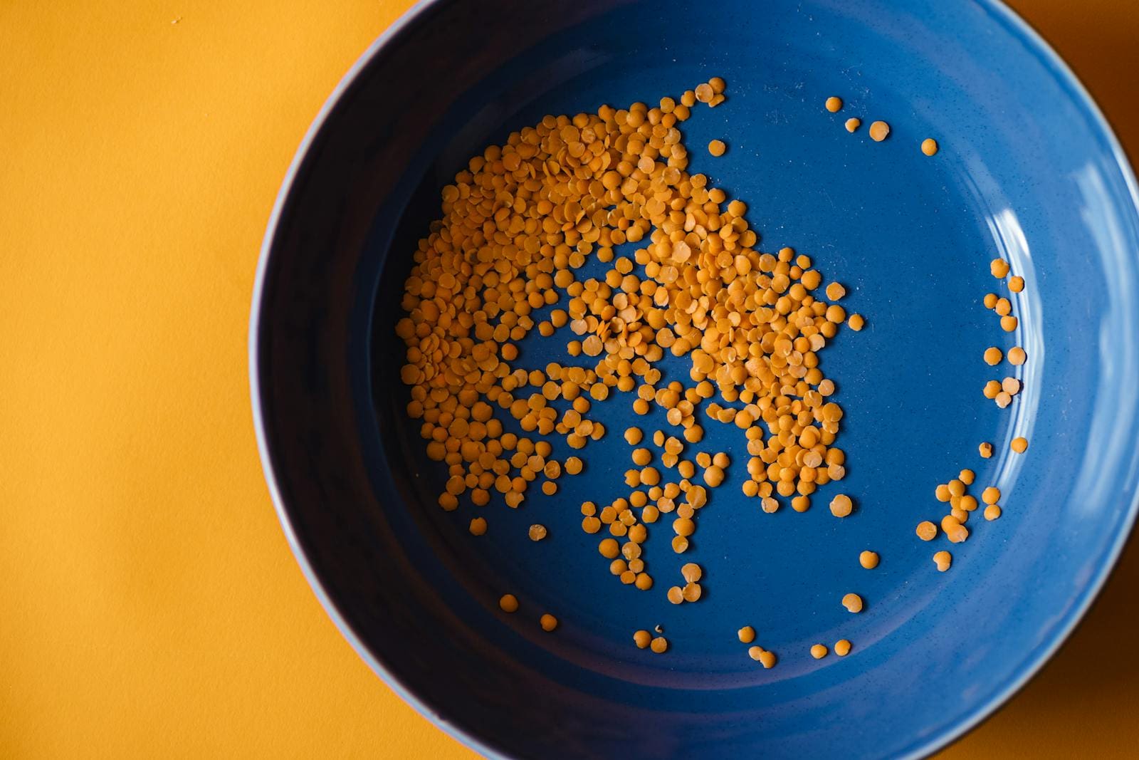 Close-up of dried orange lentils scattered in a blue bowl on a yellow background.