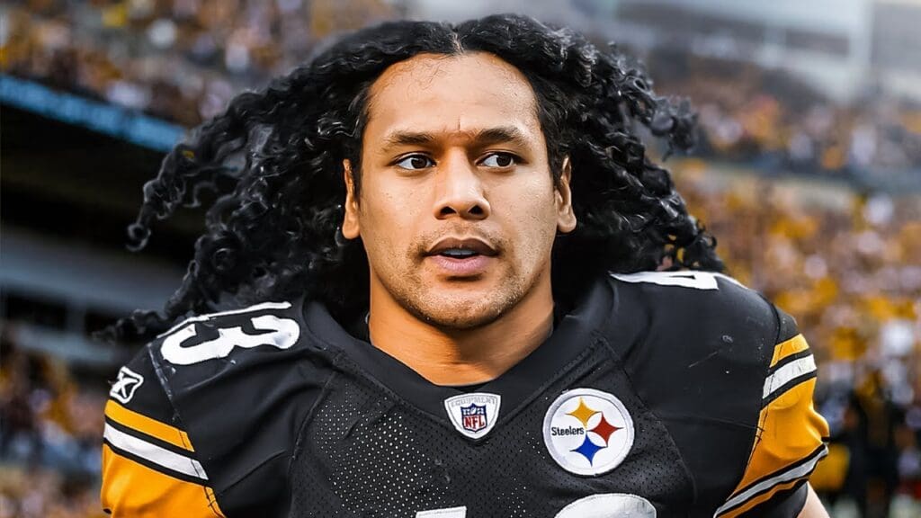 Troy Polamalu