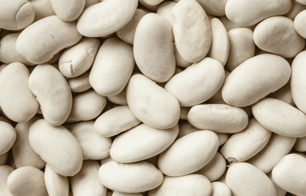 Close-Up Shot of White Beans