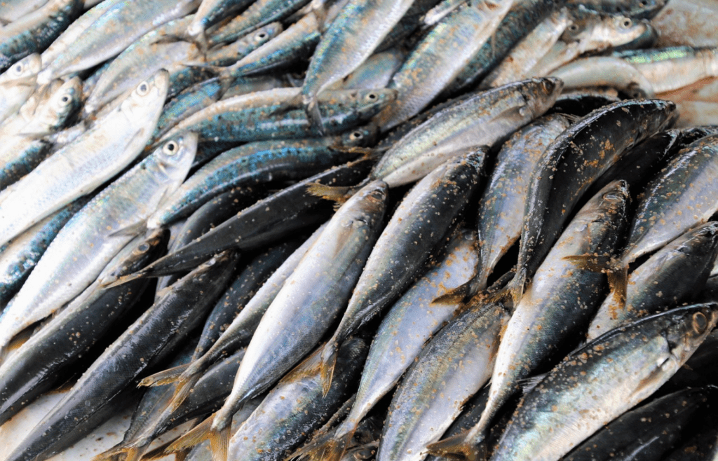 Sardines With Bones