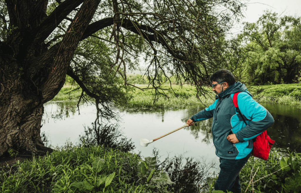 Researcher in forest collecting aquatic specimens