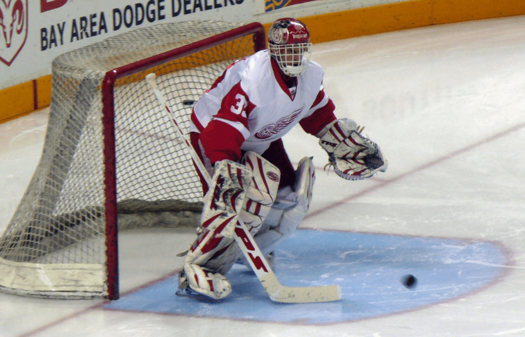 Dominik Hasek