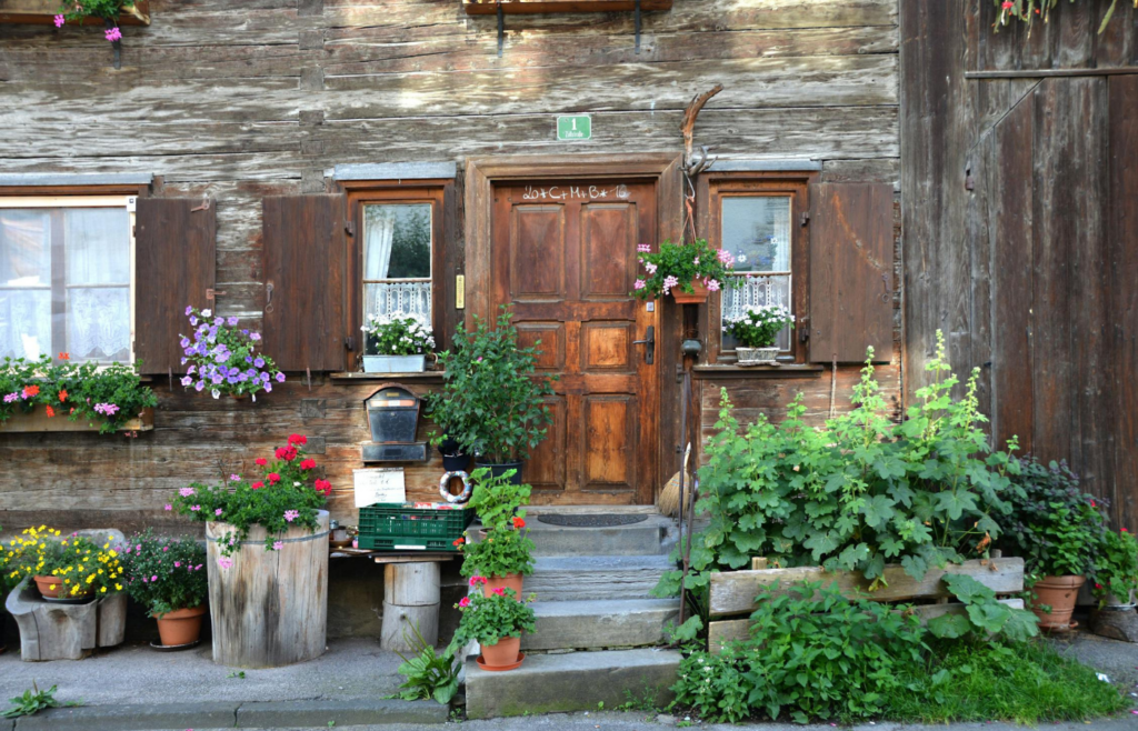 Colorful pots filled with herbs and flowers on a patio