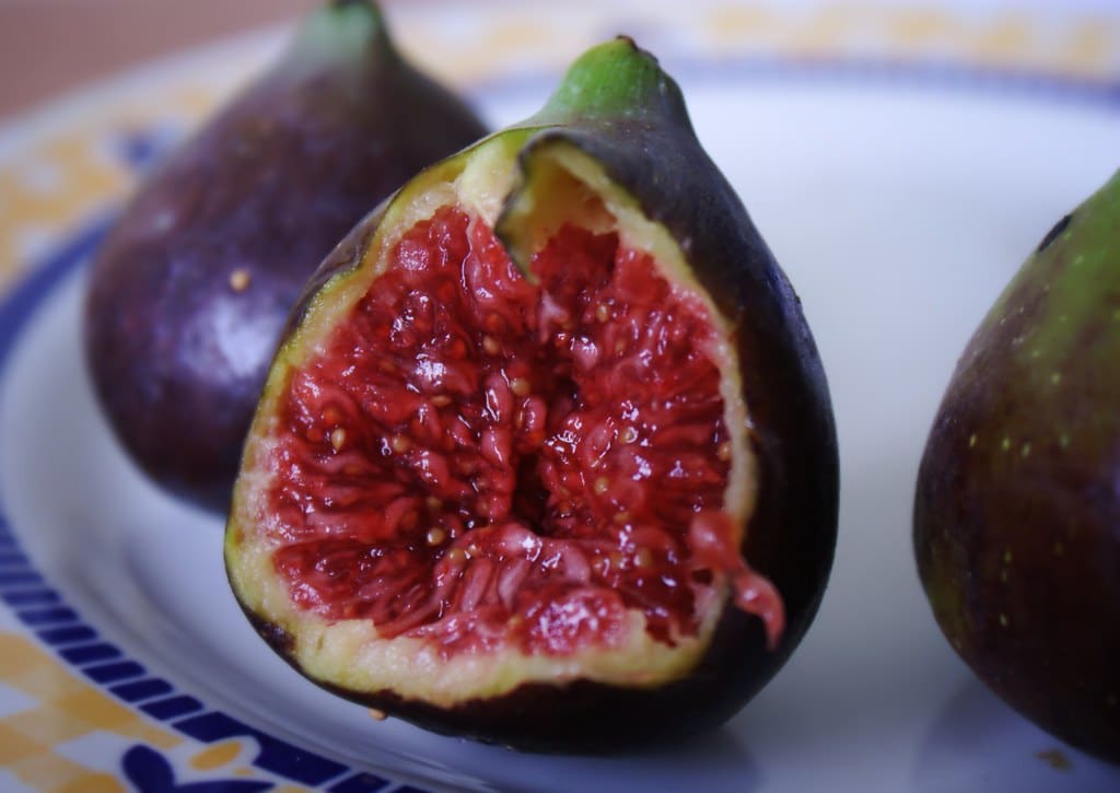 Figs