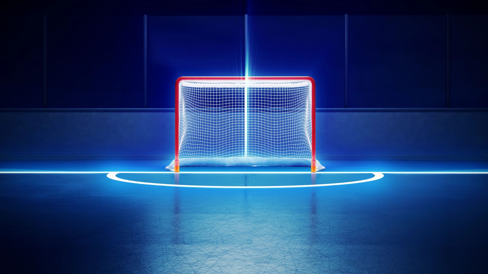 NHL hockey goal