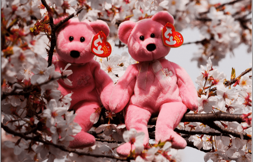 Two Beanie Babies Sittin' in a Tree