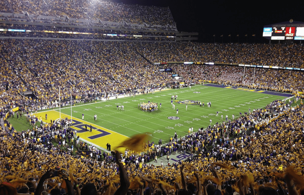 Fans cheering in LSU football game