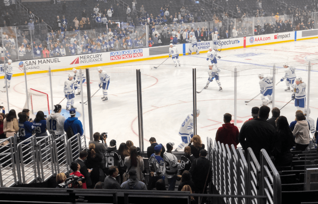 Toronto Maple Leafs Fans