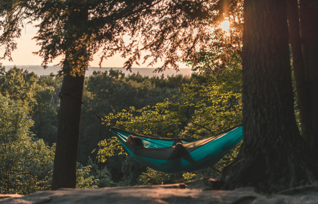 A hammock hanging between two trees