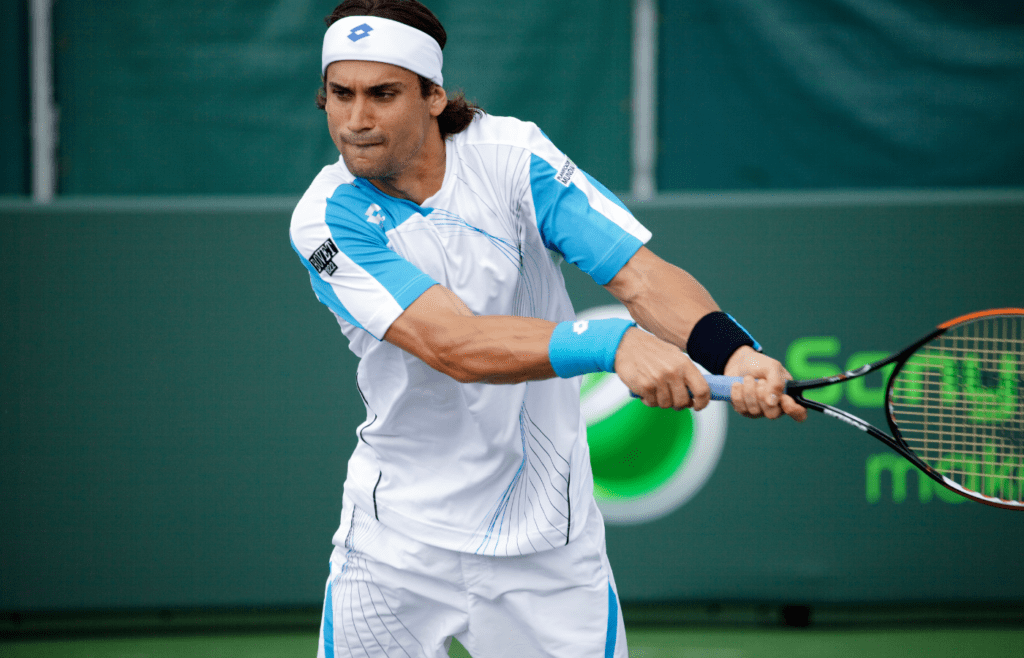 David Ferrer