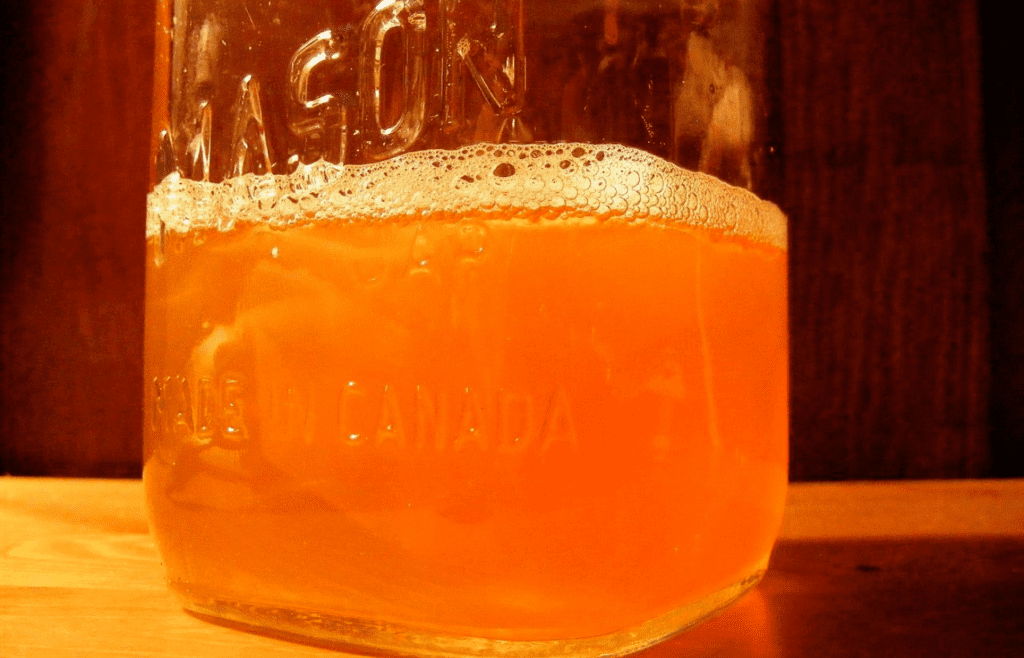 Kombucha