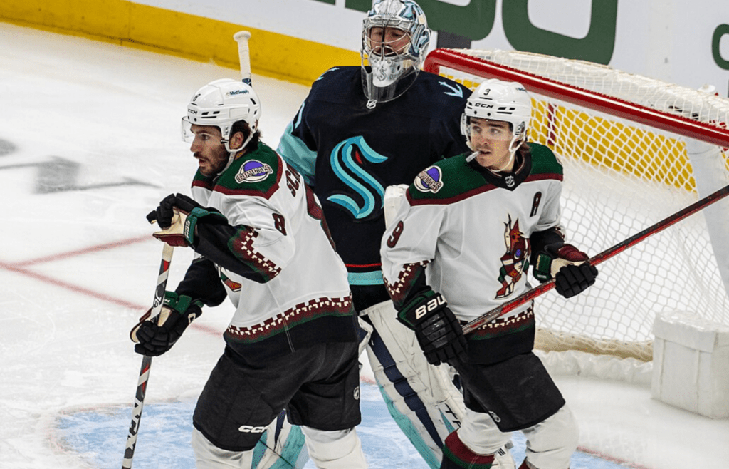 Arizona Coyotes team players
