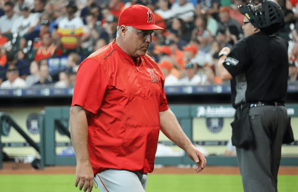 Mike Scioscia