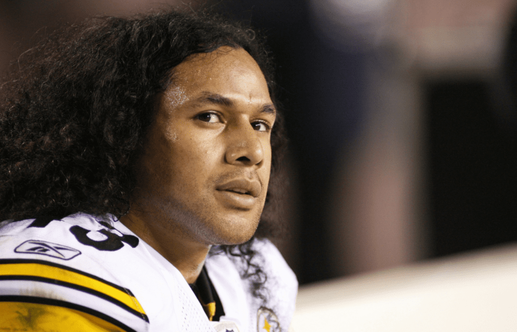 November 3, 2008; Landover, MD, USA; Pittsburgh Steelers safety Troy Polamalu (43) looks on against the Washington Redskins in the fourth quarter at FedEx Field. Pittsburgh won 23-6. Mandatory Credit: Geoff Burke-Imagn Images