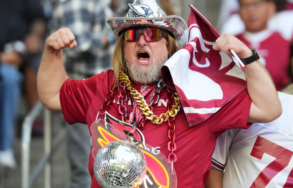 Fans cheer from the stands as the Arizona Cardinals play the New England Patriots at State Farm Stadium on Dec. 15, 2024