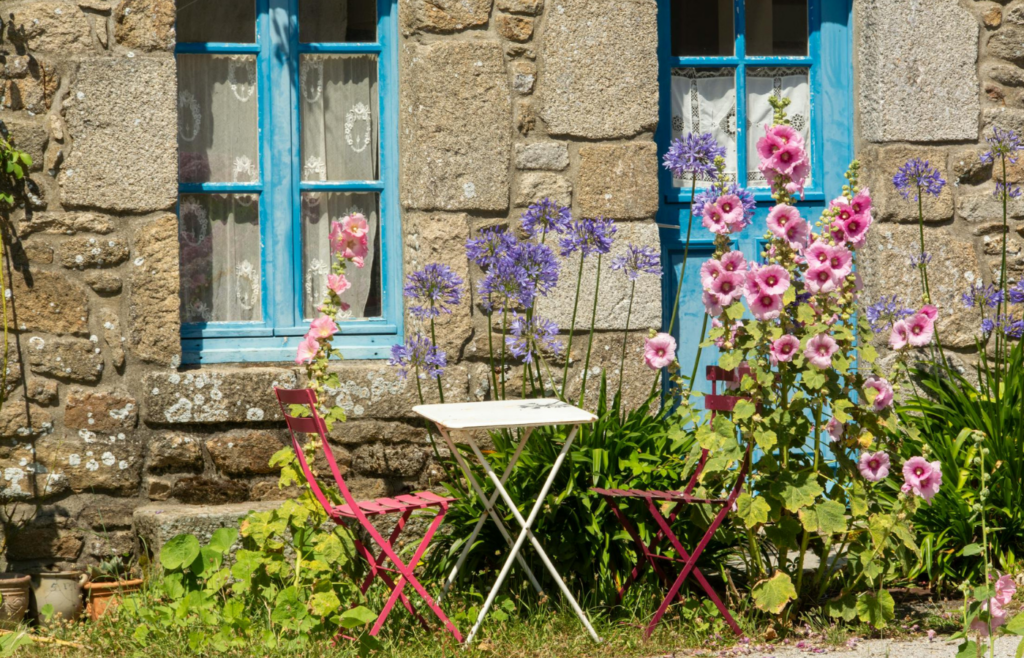 A patch of colorful wildflowers in a sunny backyard