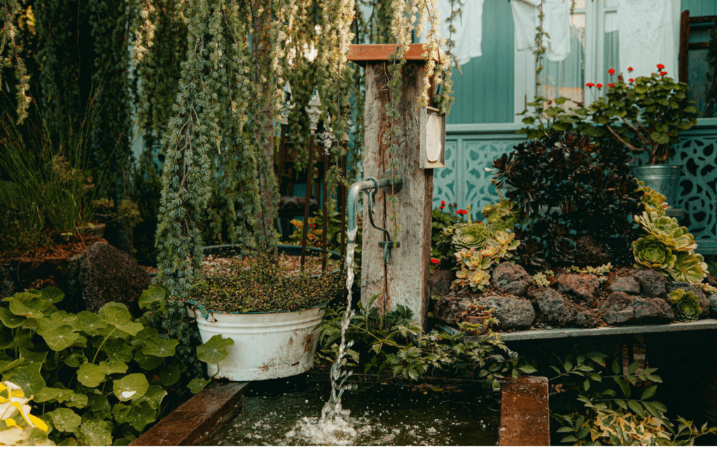A backyard area with succulents and decorative stones