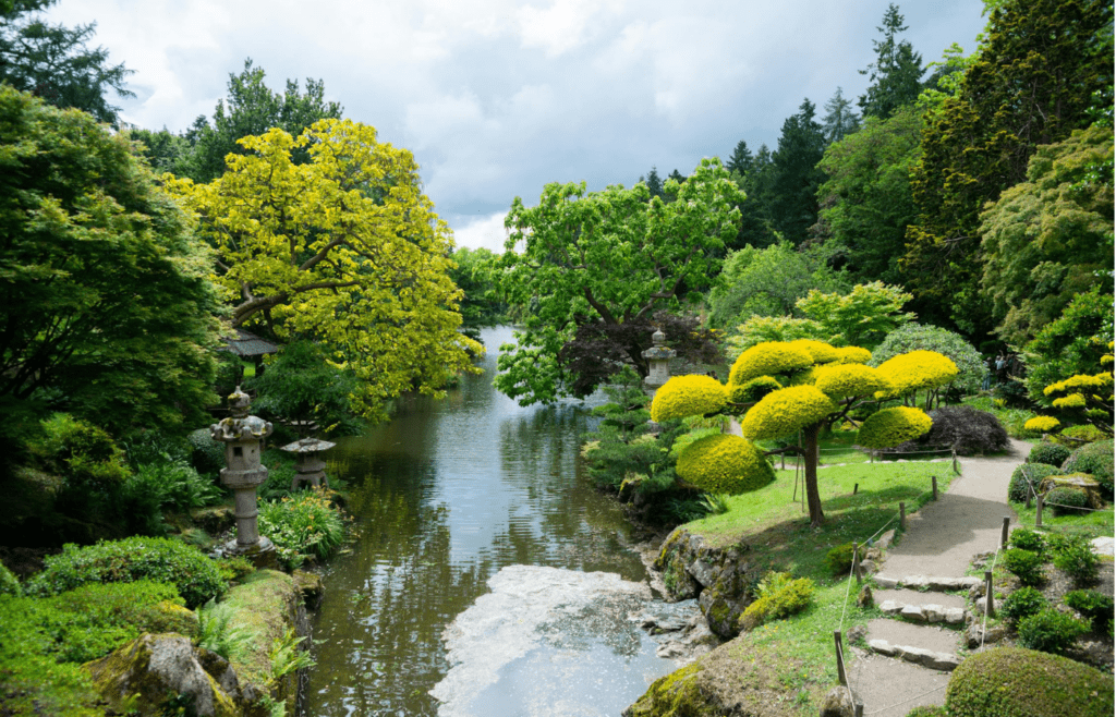 A garden path outlined with smooth stones and small shrubs