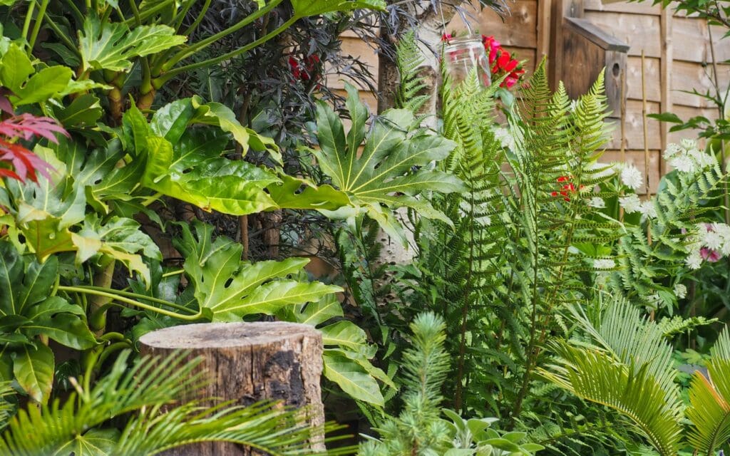 wild garden