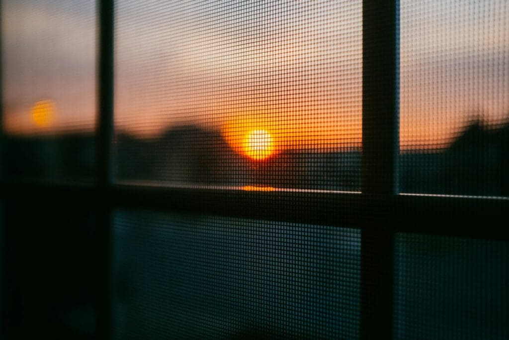 window screen