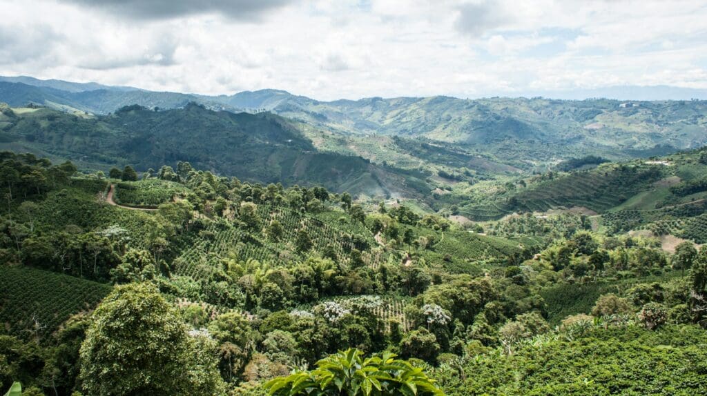 fertile hills in Colombia