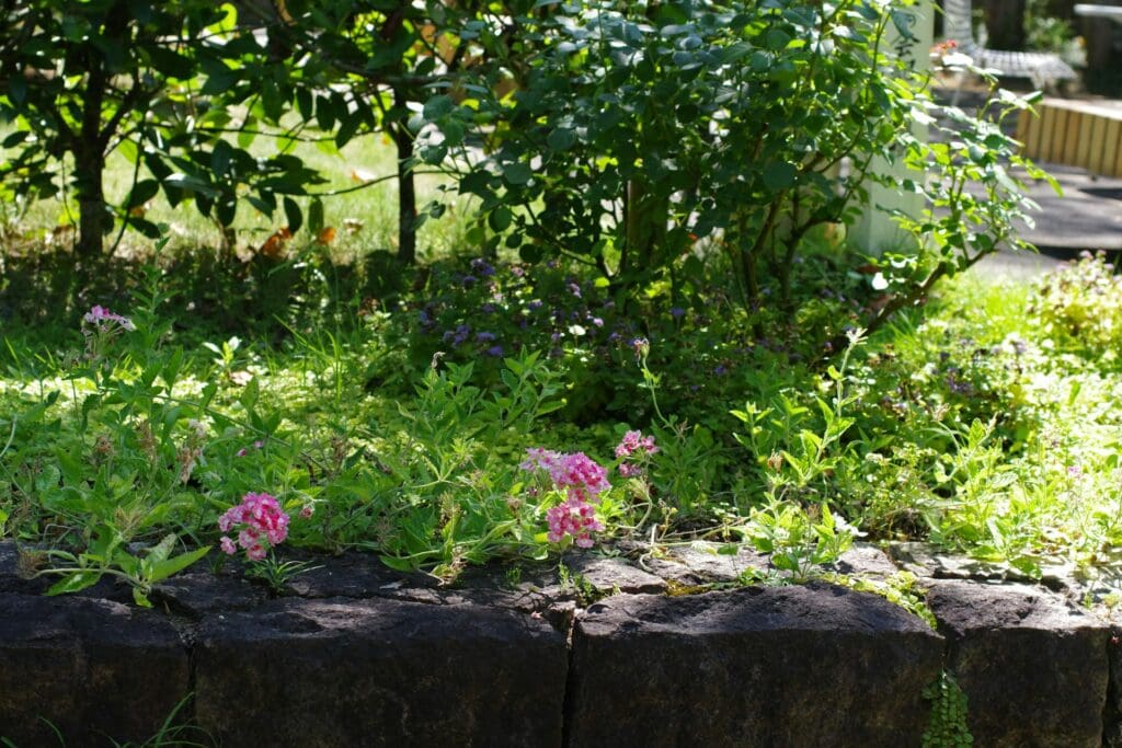 A small raised garden filled with basil, rosemary, and mint