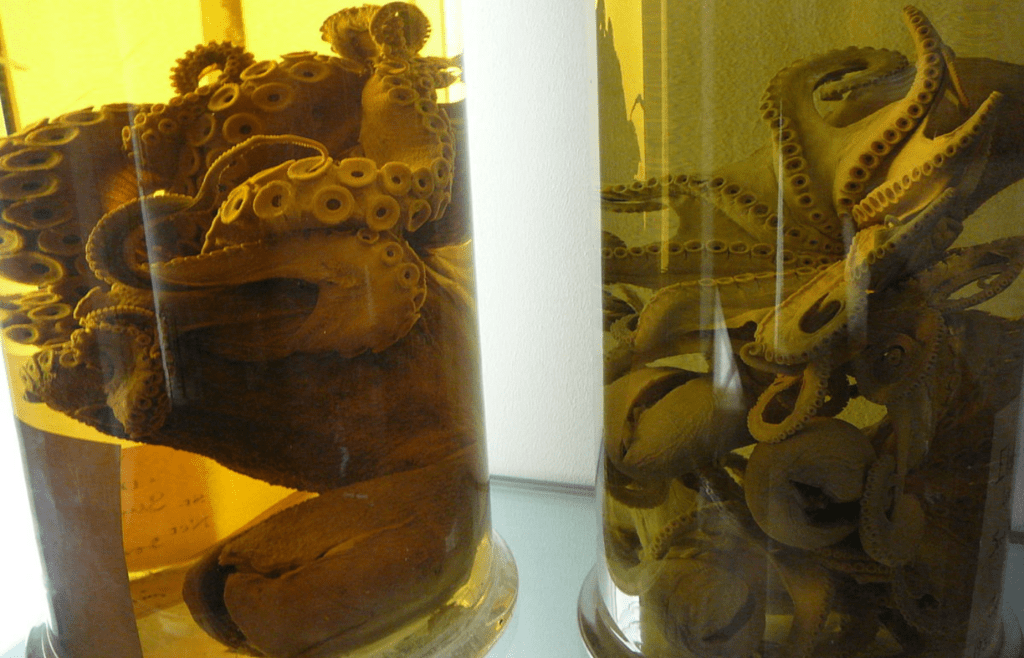 NHM formaldehyde