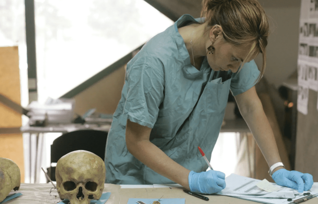 An anthropologist examining artifacts