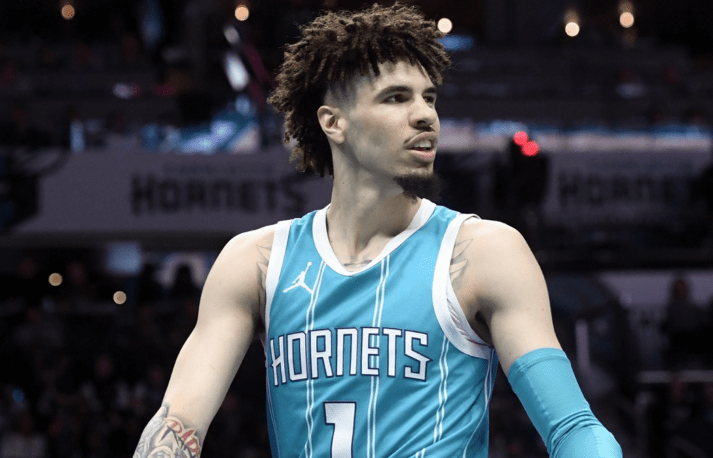 Mar 25, 2025; Charlotte, North Carolina, USA; Charlotte Hornets guard LaMelo Ball (1) looks around after being called for a foul during the second half against the Orlando Magic at the Spectrum Center. Mandatory Credit: Sam Sharpe-Imagn Images