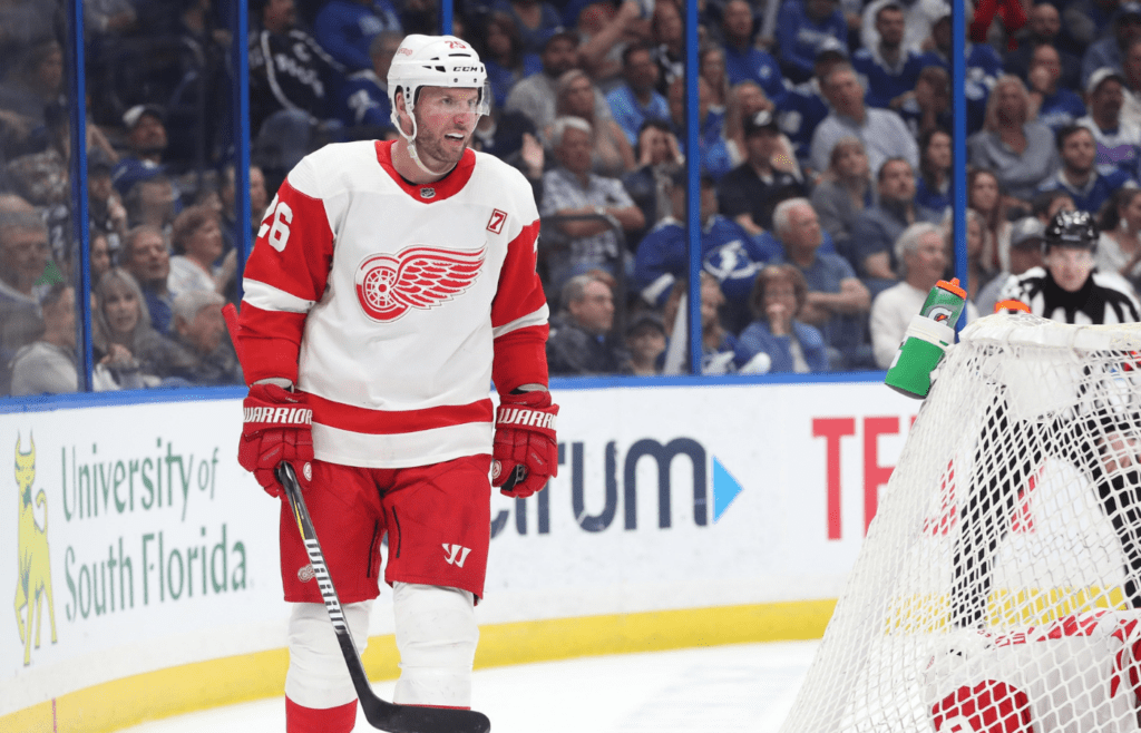 Detroit Red Wings left wing Thomas Vanek (26) celebrates as he scores goal against the Tampa Bay Lightning during the second period at Amalie Arena.