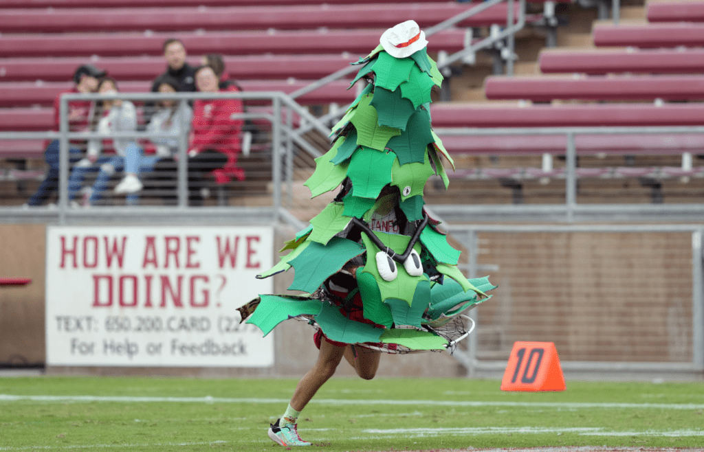 Nov 5, 2022; Stanford, California, USA; The Stanford Cardinal tree mascot performs on the field before the game against the Washington State Cougars at Stanford Stadium. Mandatory Credit: Darren Yamashita-Imagn Images