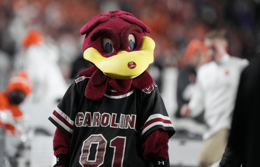 Nov 25, 2023; Columbia, South Carolina, USA; South Carolina Gamecocks mascot Cocky performs on the side lines in the second half against the Clemson Tigers at Williams-Brice Stadium. Mandatory Credit: David Yeazell-Imagn Images
