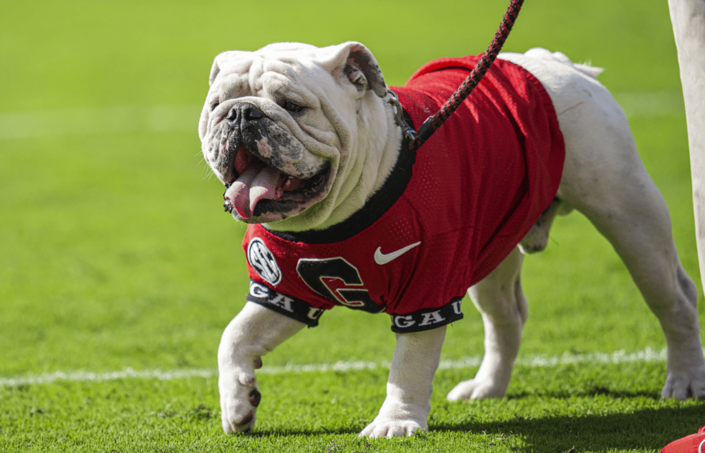 Oct 5, 2024; Athens, Georgia, USA; Georgia Bulldogs mascot UGA XI on the field during the game against the Auburn Tigers at Sanford Stadium. Mandatory Credit: Dale Zanine-Imagn Images