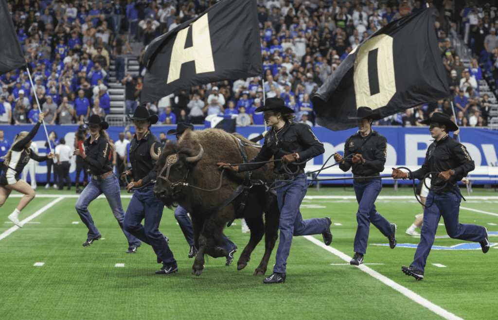 Dec 28, 2024; San Antonio, TX, USA; Colorado Buffaloes mascot Ralphie the Buffalo runs on the field before the game against the Brigham Young Cougars at Alamodome. Mandatory Credit: Troy Taormina-Imagn Images