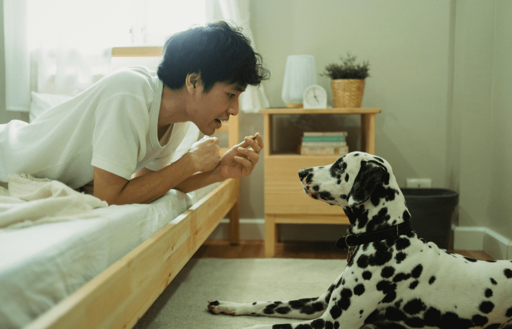 A person conversing with a pet.