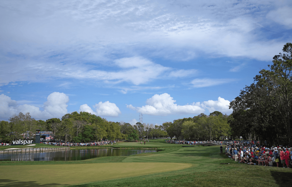 Mar 11, 2018; Palm Harbor, FL, USA; A general view as Tiger Woods walks up the fairway on the 12th during the final round of the Valspar Championship golf tournament at Innisbrook Resort - Copperhead Course. Mandatory Credit: Jasen Vinlove-Imagn Images