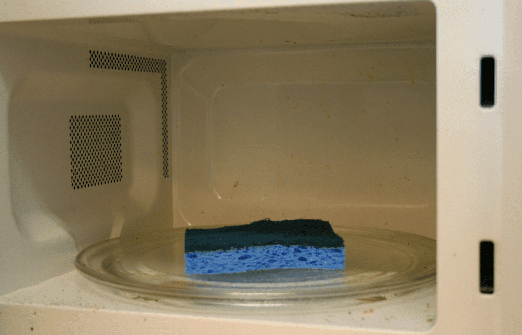 Microwaving a sponge